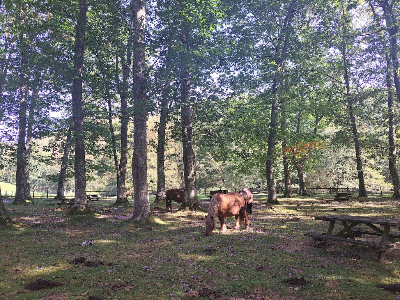 Urepel, el monte silencioso