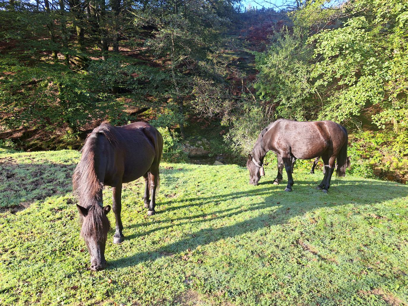 Urepel, el monte silencioso