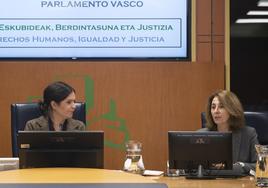 La Fiscal superior del País Vasco, Carmen Adán, durante su comparecencia en el Parlamento Vasco.