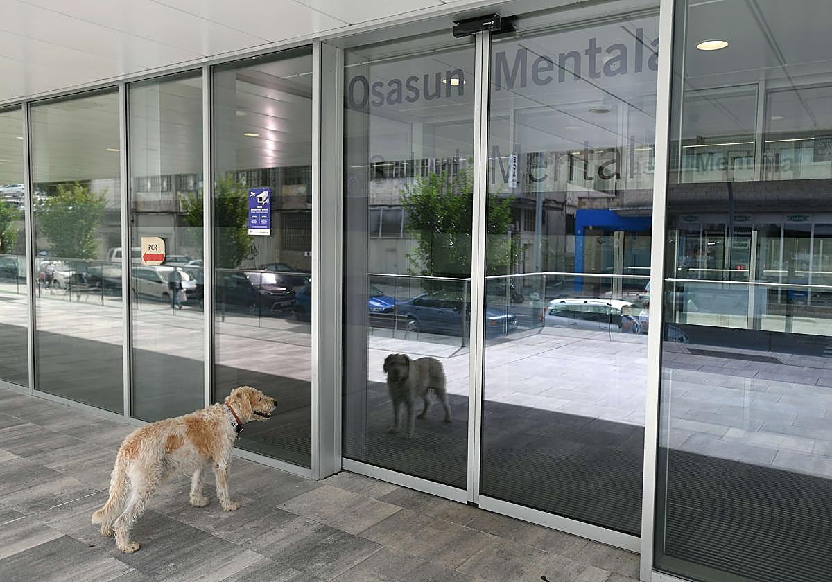 Un perro espera en la entrada de la Unidad de Salud Mental del Hospital de Eibar.