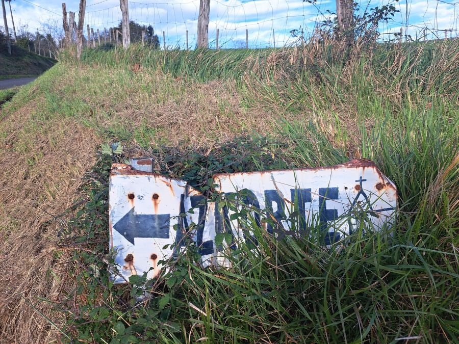 Desde Urnieta a Buruntza