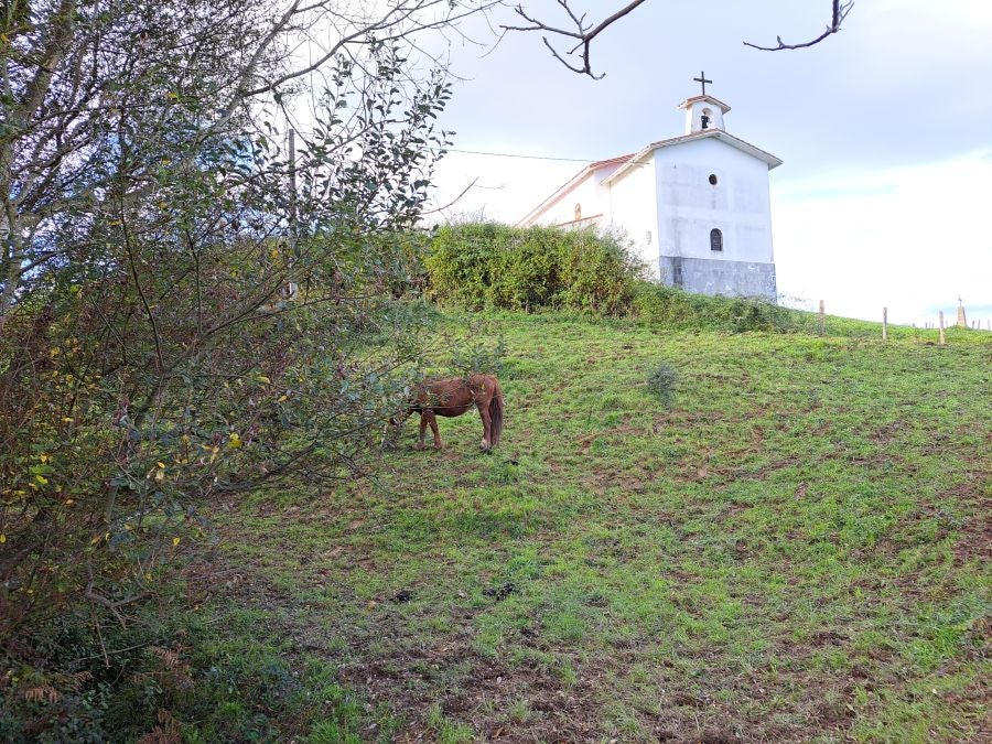 Desde Urnieta a Buruntza