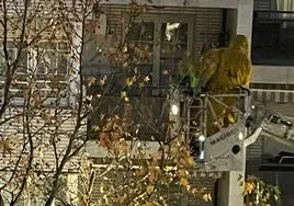 Retiran un nido de avispas frente a una vivienda del barrio Berio de Donostia