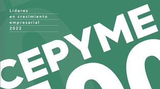 El peso de las pymes