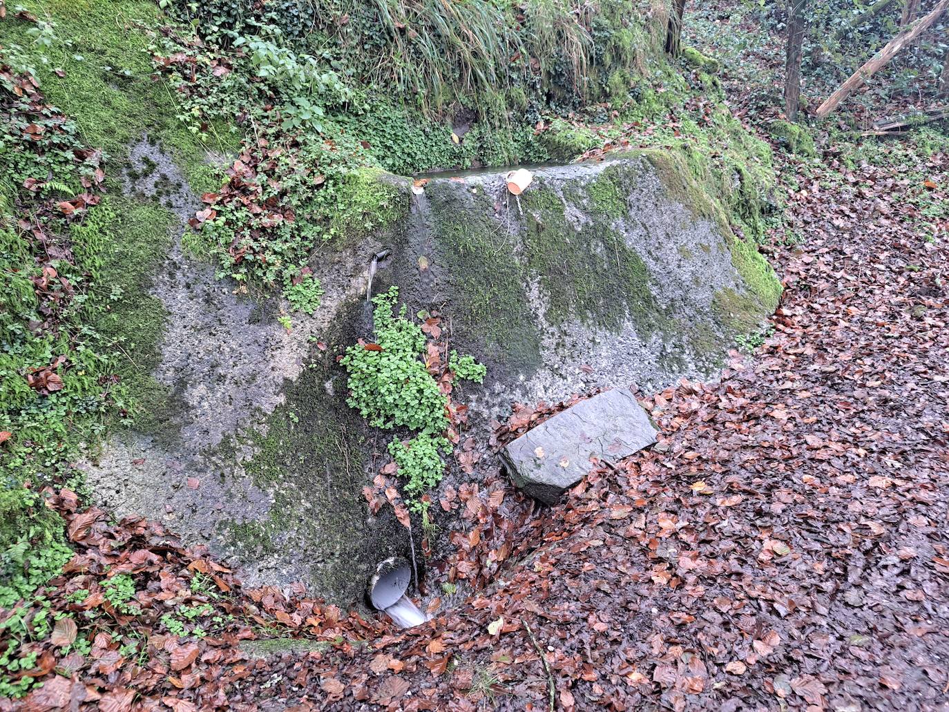 Leuneta. Baile entre betizus y niebla