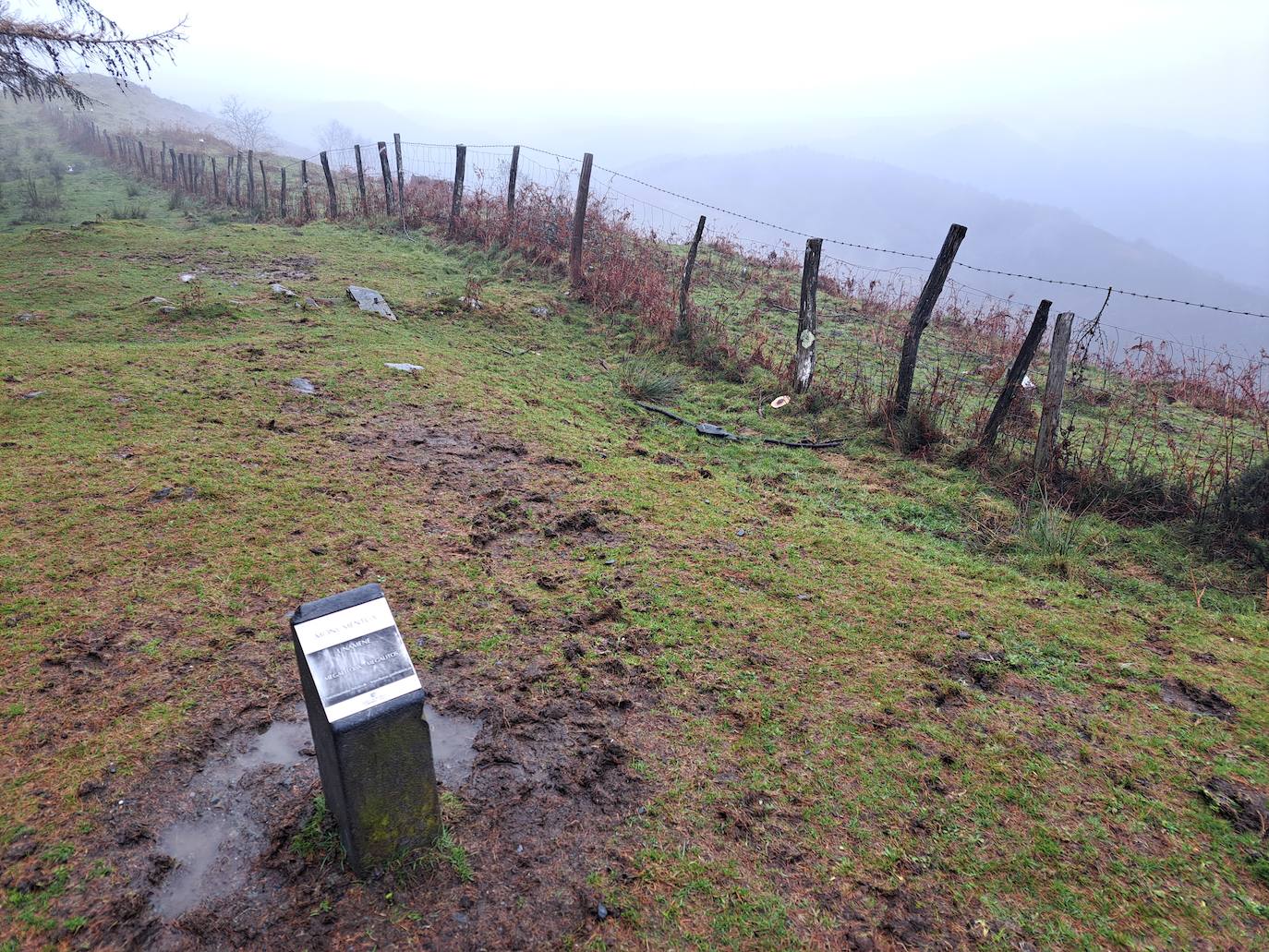Leuneta. Baile entre betizus y niebla