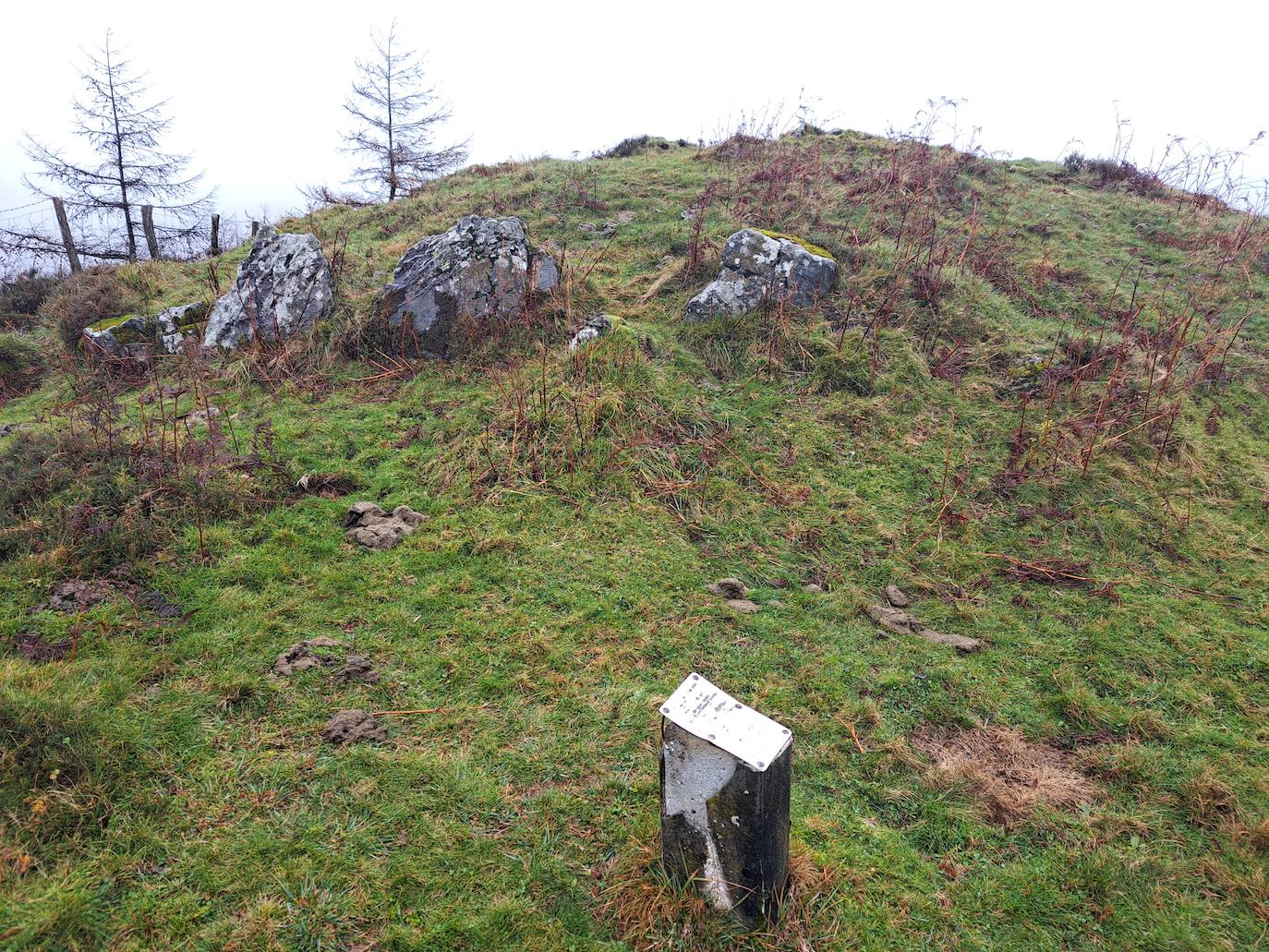 Leuneta. Baile entre betizus y niebla