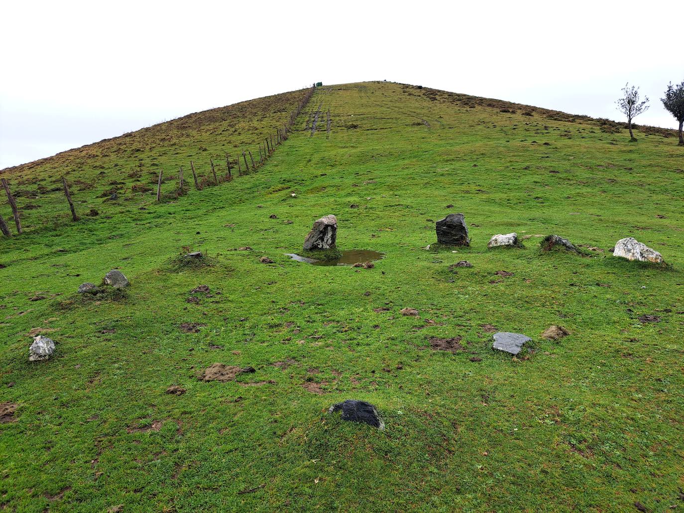 Leuneta. Baile entre betizus y niebla