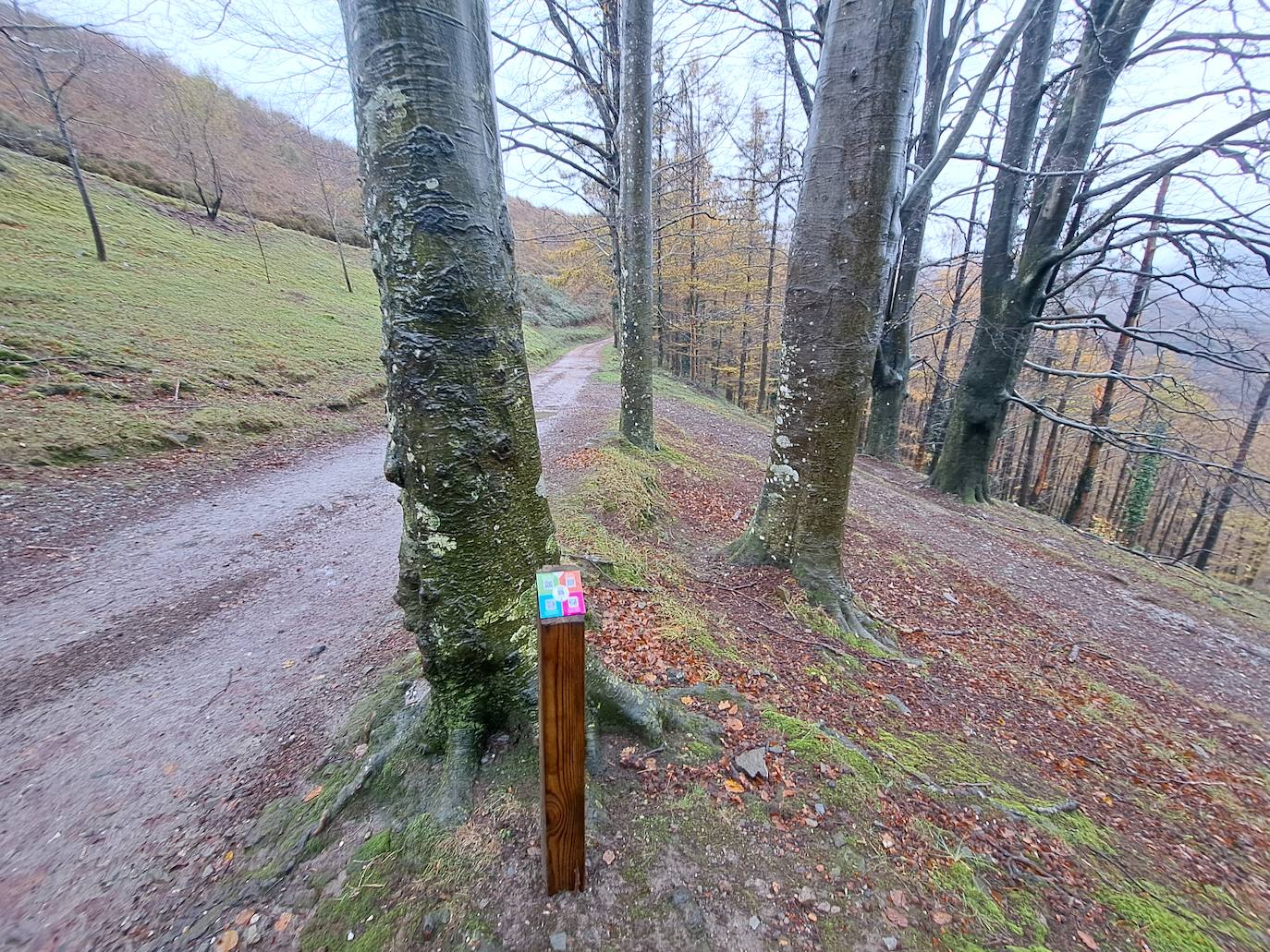 Leuneta. Baile entre betizus y niebla
