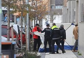 Los efectivos de los cuerpos de seguridad proceden al levantamiento de cadáver.