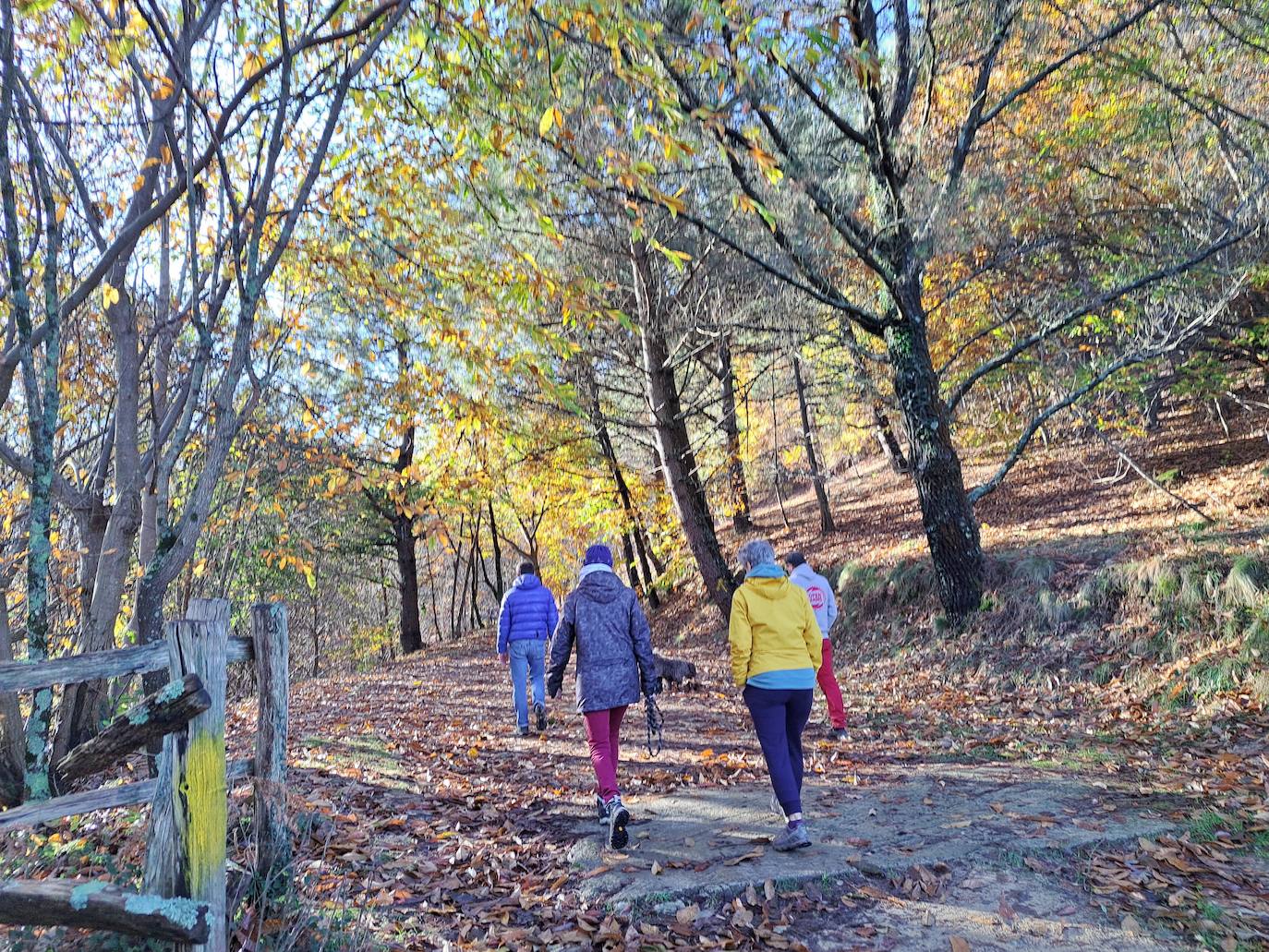 Un monte para mirar al mar