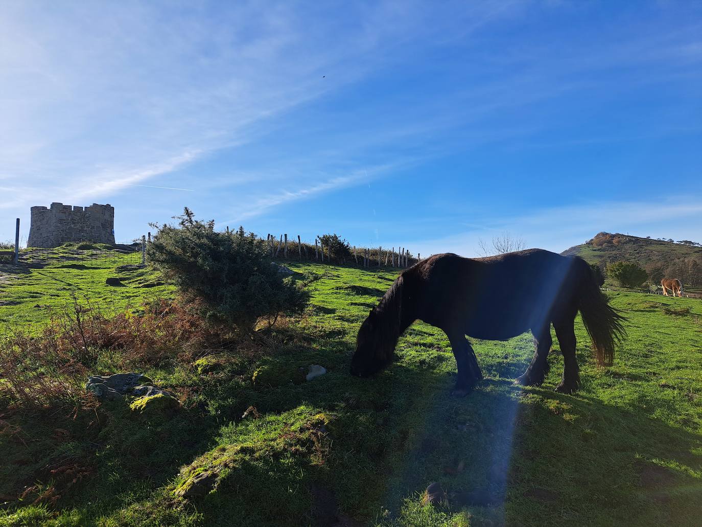 Un monte para mirar al mar