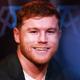 Imagen principal - Canelo Álvarez (boxeo): 340 millones