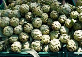 Verduras quemagrasa para no engordar en Navidad