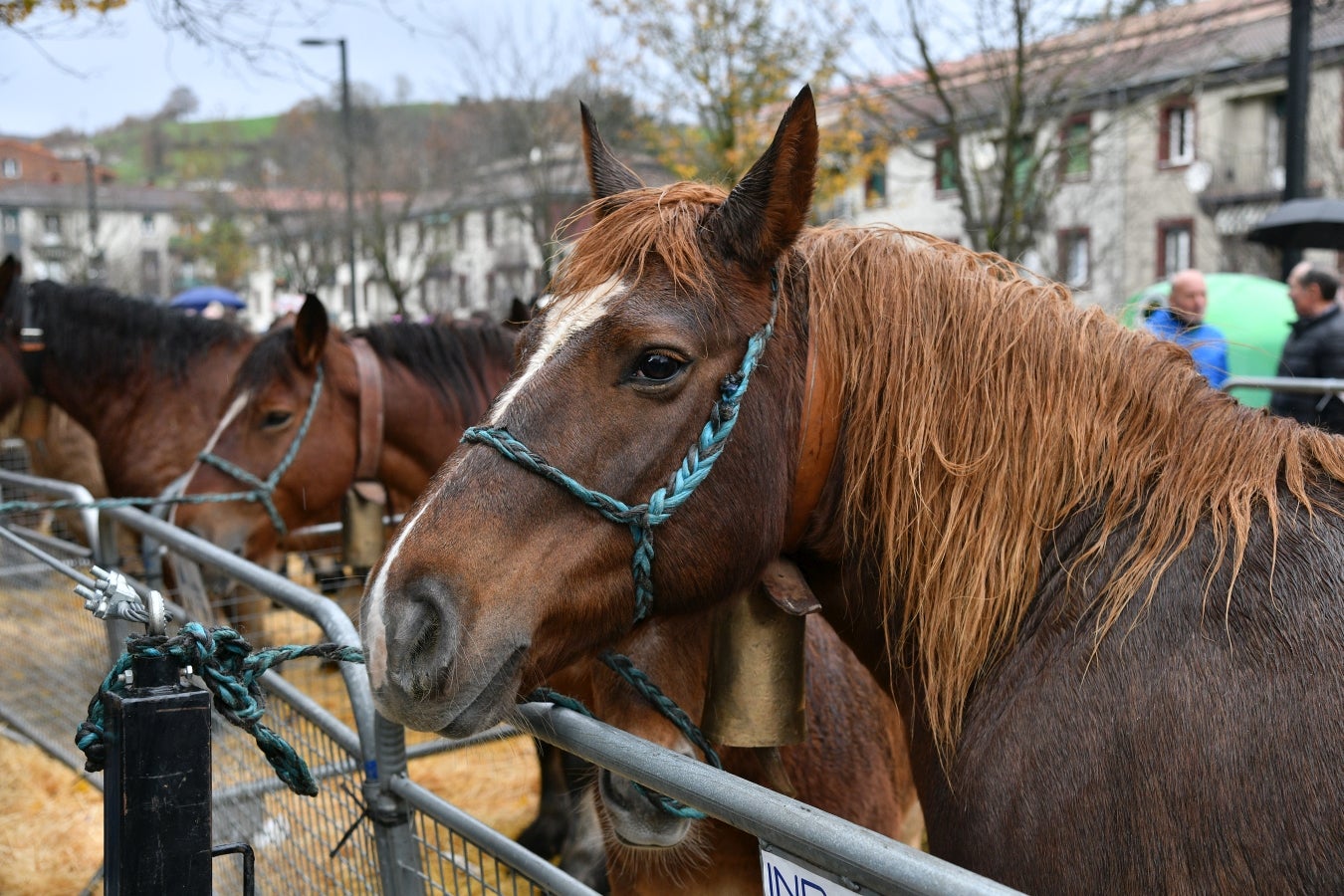 Feria de Santa Lucía en Urretxu y Zumarraga
