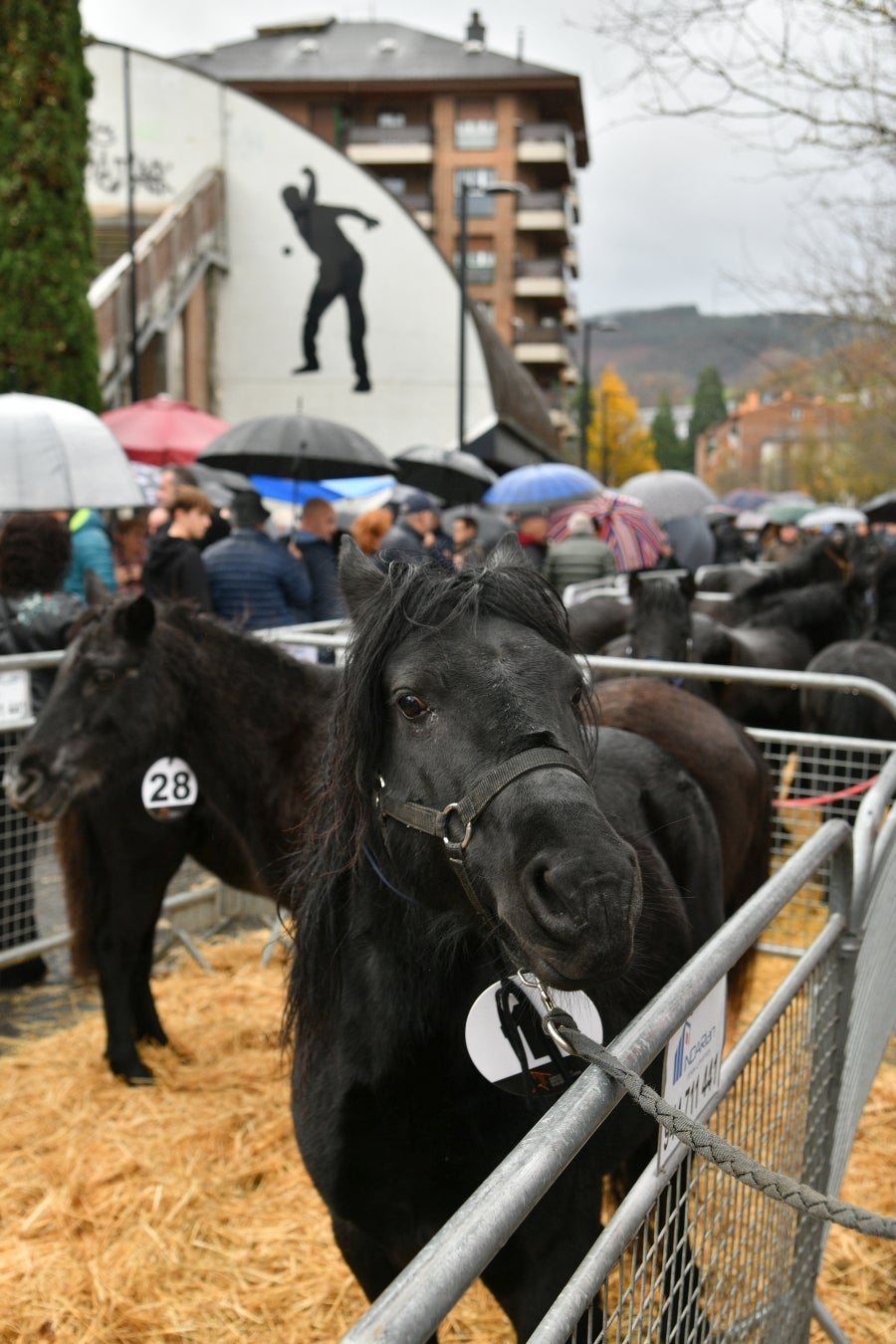 Feria de Santa Lucía en Urretxu y Zumarraga