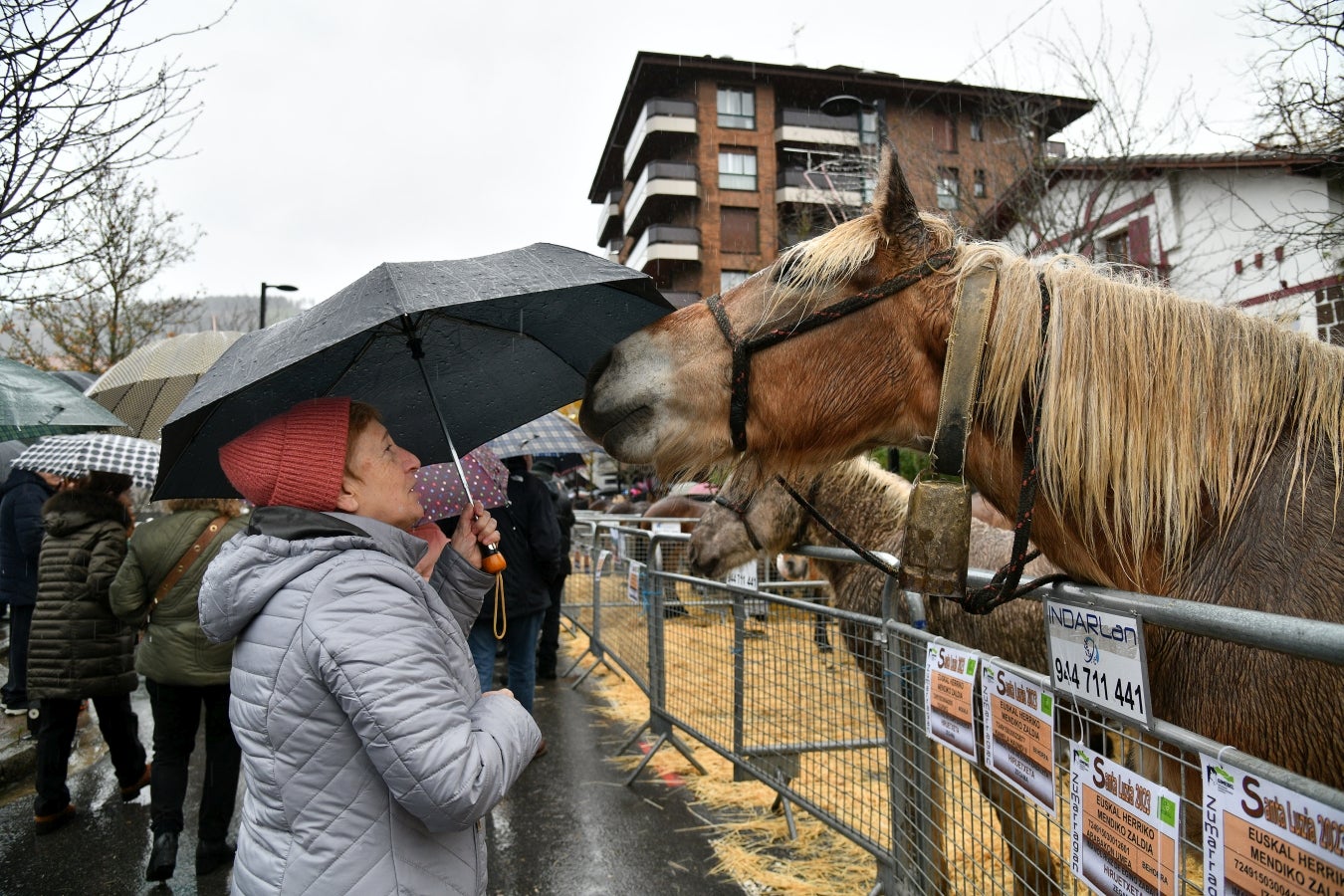 Feria de Santa Lucía en Urretxu y Zumarraga