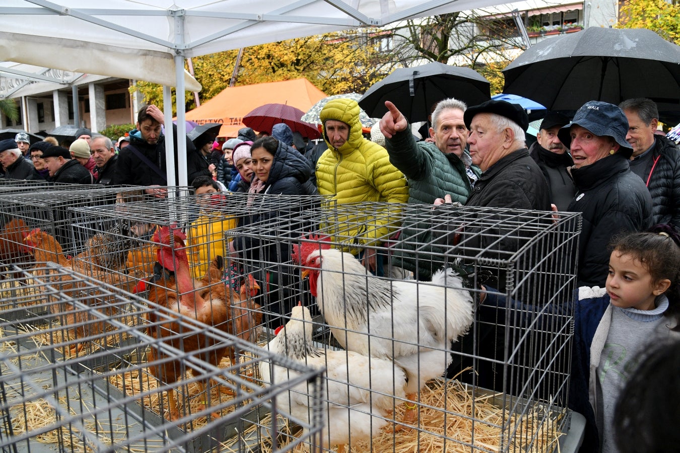 Feria de Santa Lucía en Urretxu y Zumarraga