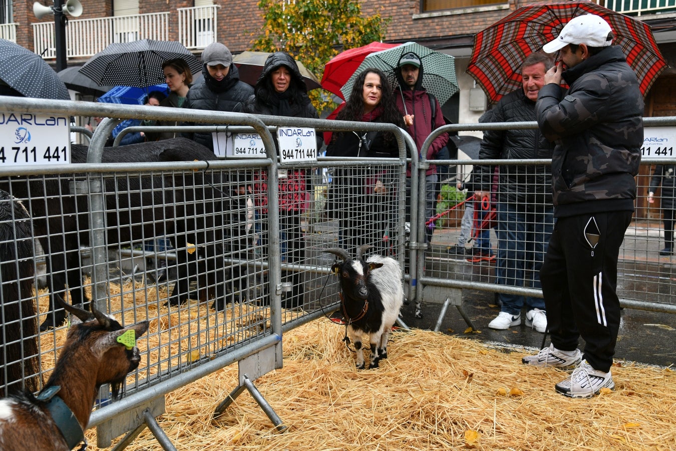 Feria de Santa Lucía en Urretxu y Zumarraga