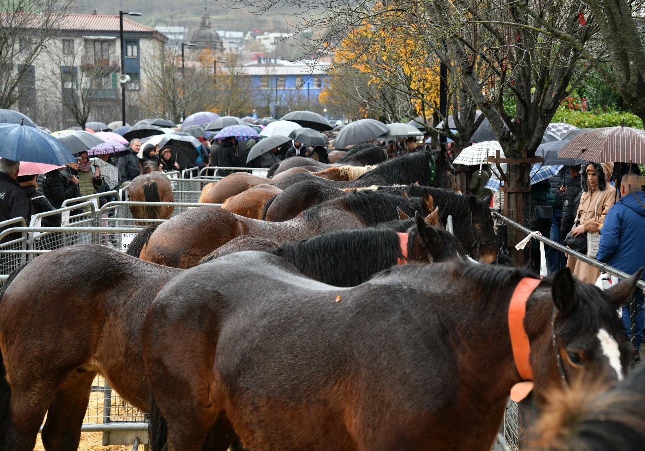 Feria de Santa Lucía en Urretxu y Zumarraga