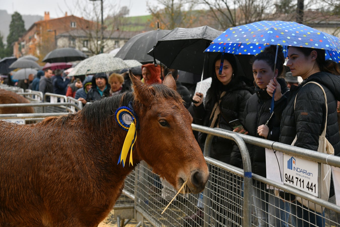 Feria de Santa Lucía en Urretxu y Zumarraga