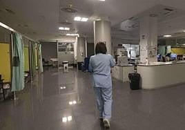 Urgencias del Hospital de Donostia.