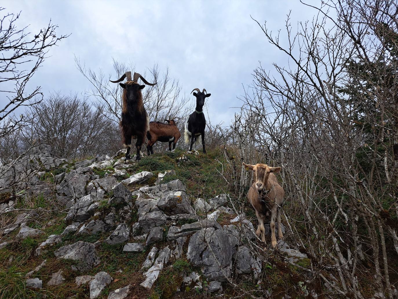 Arburu, una cima sobre Berastegi