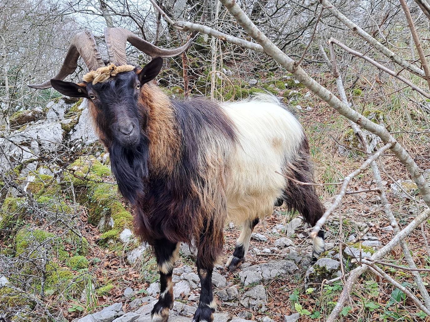 Arburu, una cima sobre Berastegi