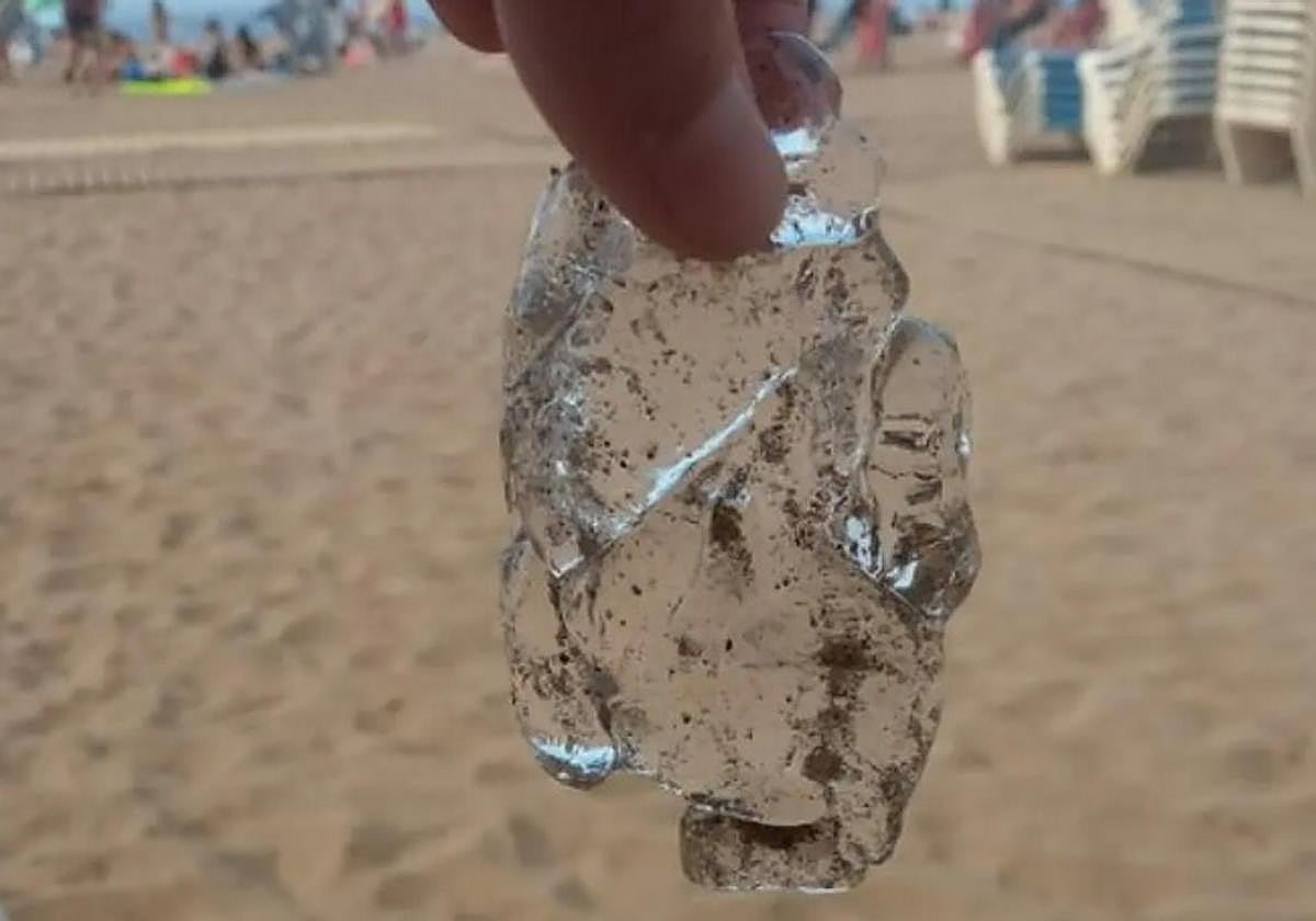 Una salpa recogida en el verano de 2022 en la playa de Deba.