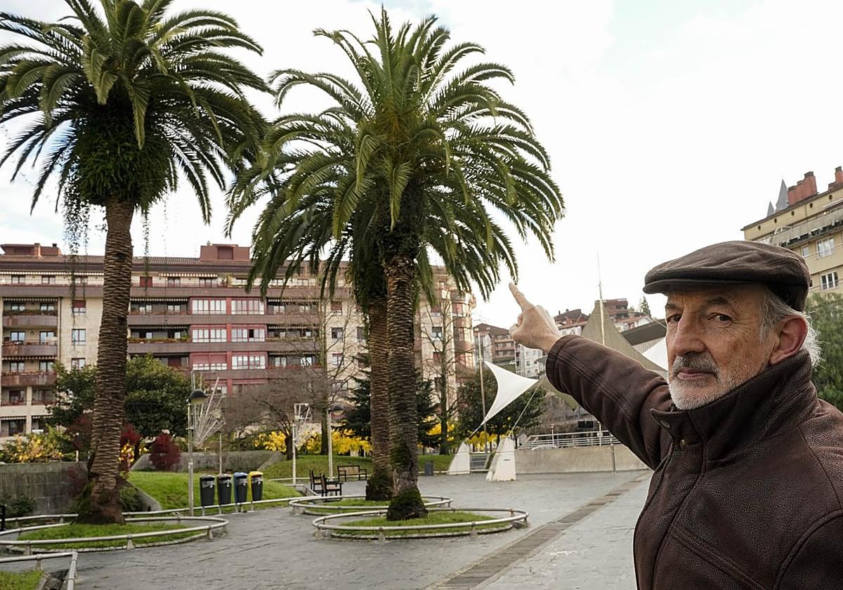 Ignacio Javier Larrañaga señala a unas palmeras en Donostia, que podrían ser atacadas por el picudo rojo.