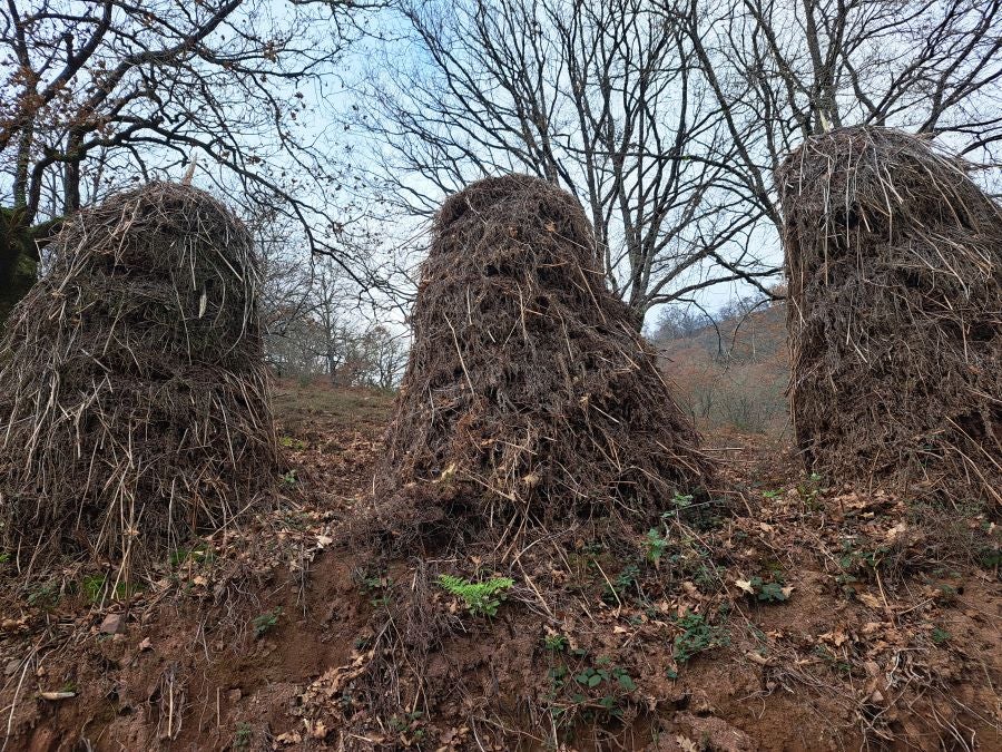 Mendaur: un regalo para la vista