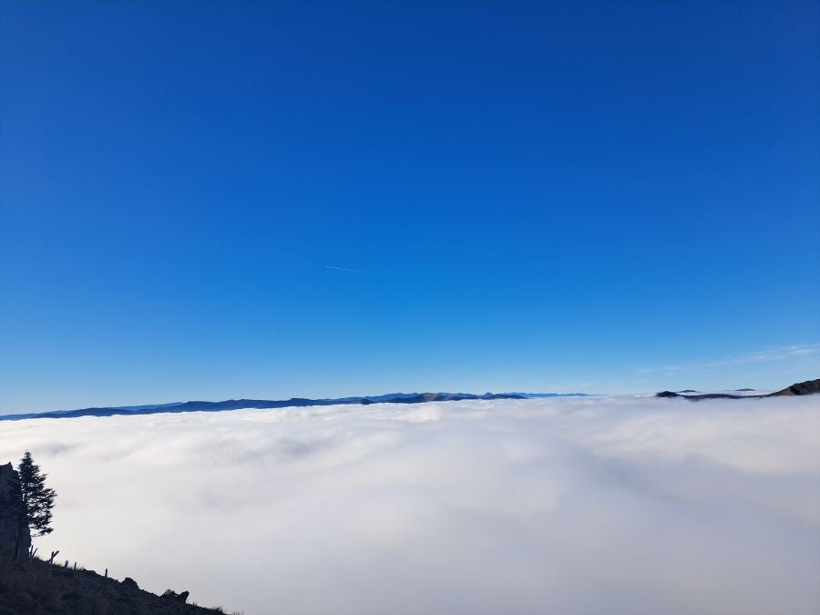 Mendaur: un regalo para la vista