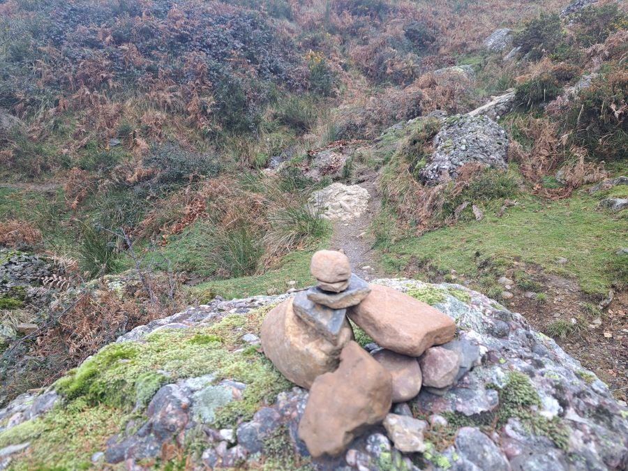 Mendaur: un regalo para la vista