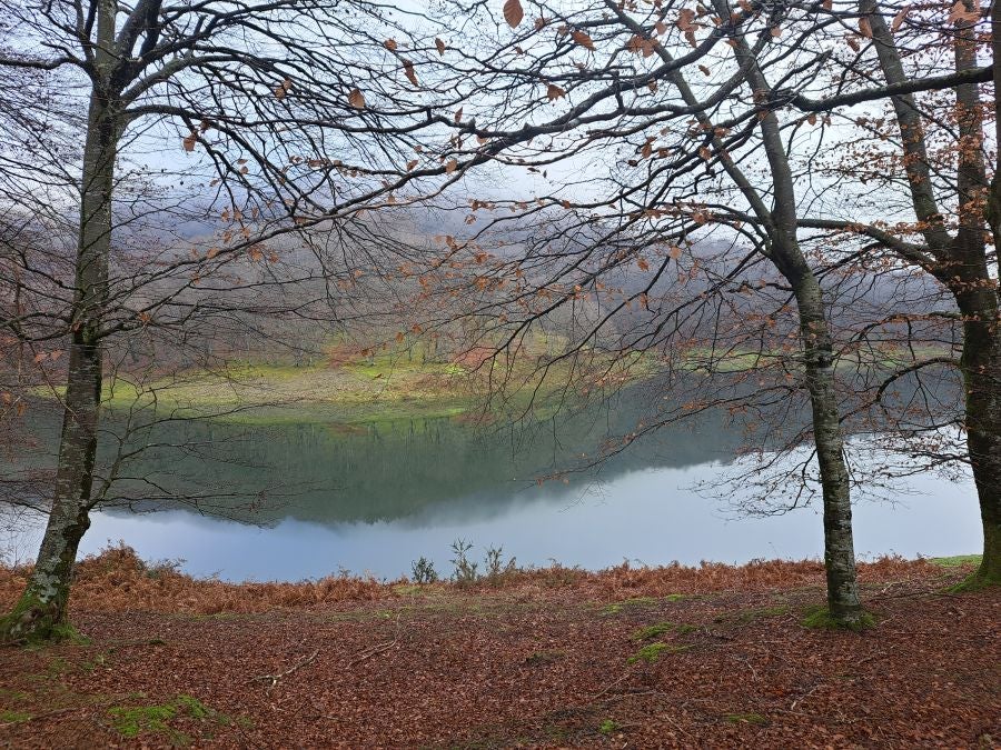 Mendaur: un regalo para la vista