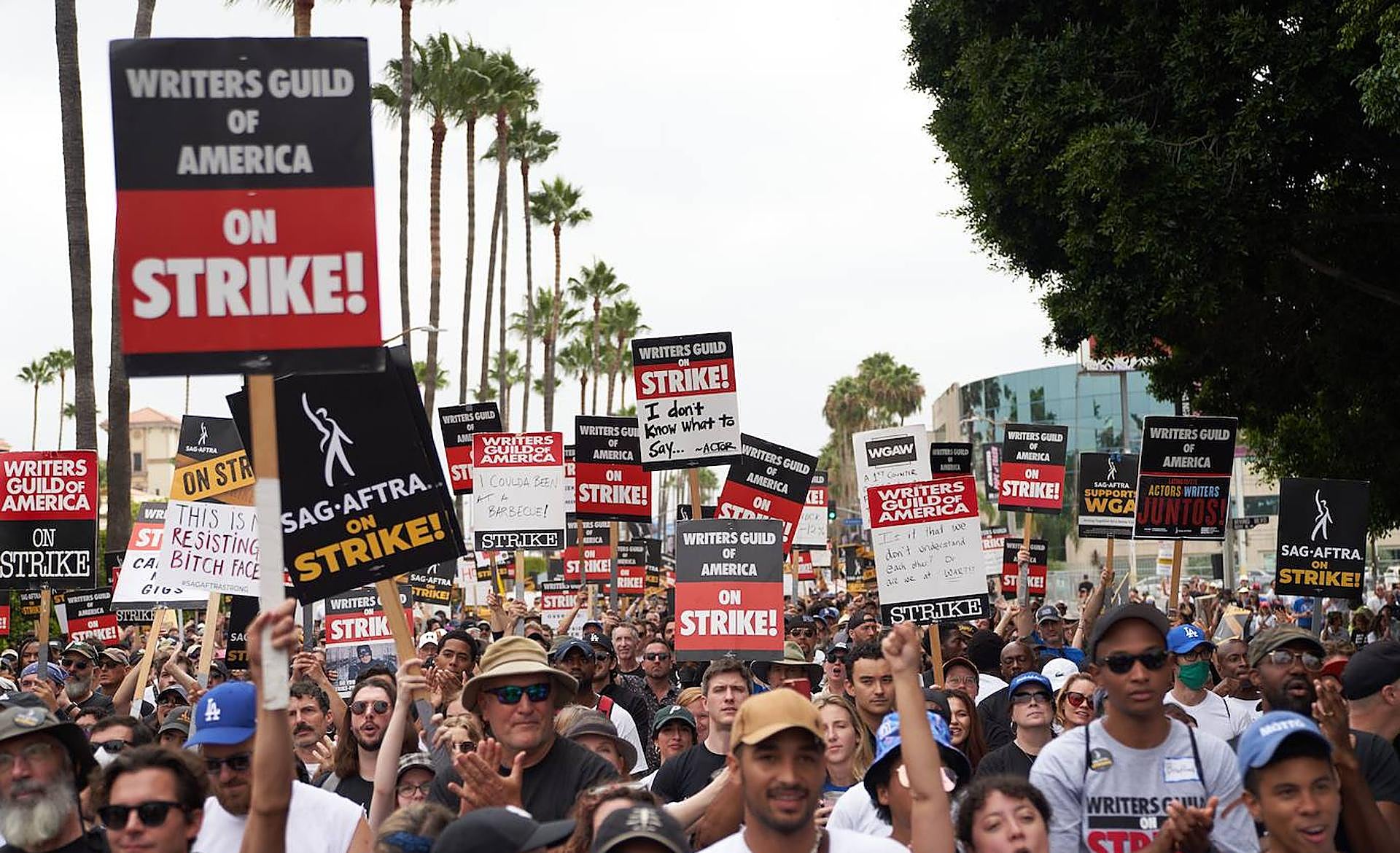 Scroll Story imagen 5