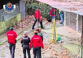 Investigan un albergue animal de Hondarribia por presuntos maltratos