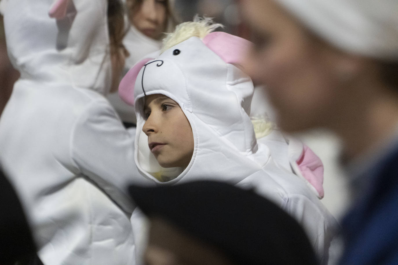 Fotos: Los Reyes Magos llegan de magia Errenteria