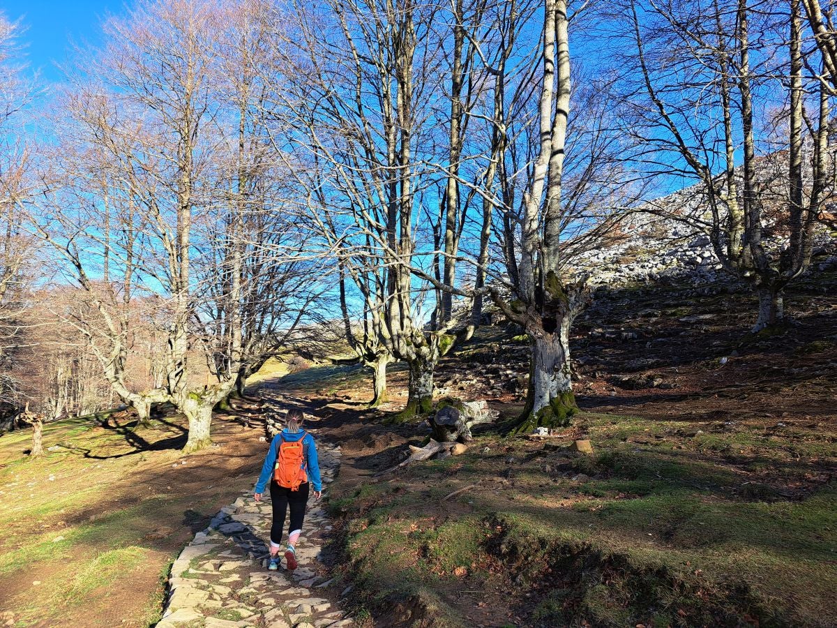 Fotos:Ruta a la cima del Gorbeia