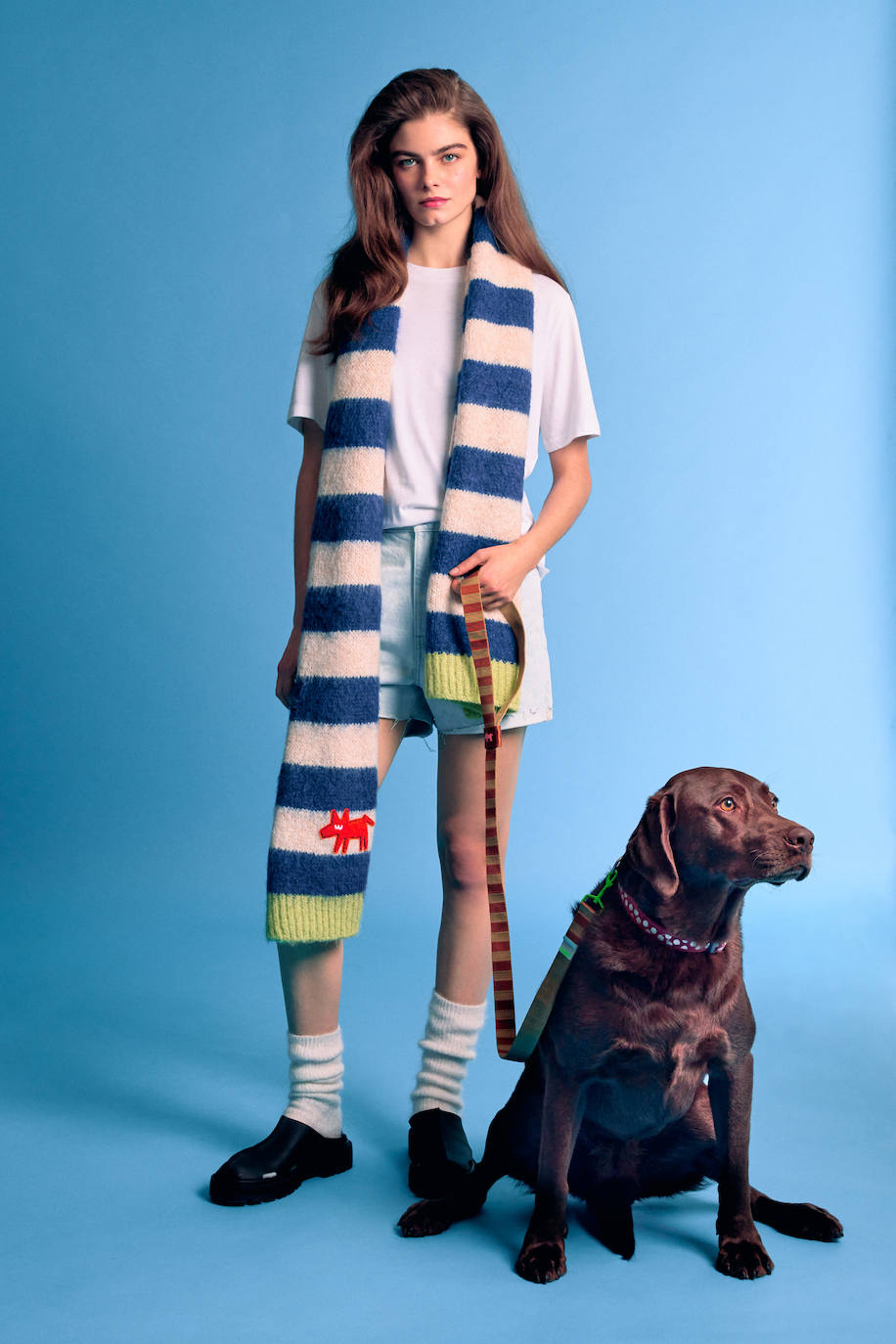 Fotos: Bimba y Lola presenta una nueva y novedosa colección canina