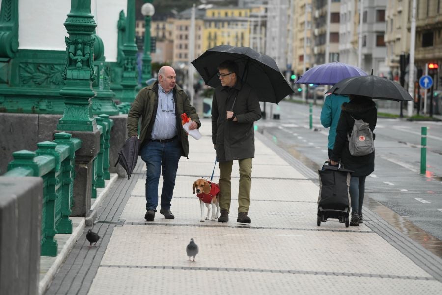 Fotos: Jornada gris y lluviosa