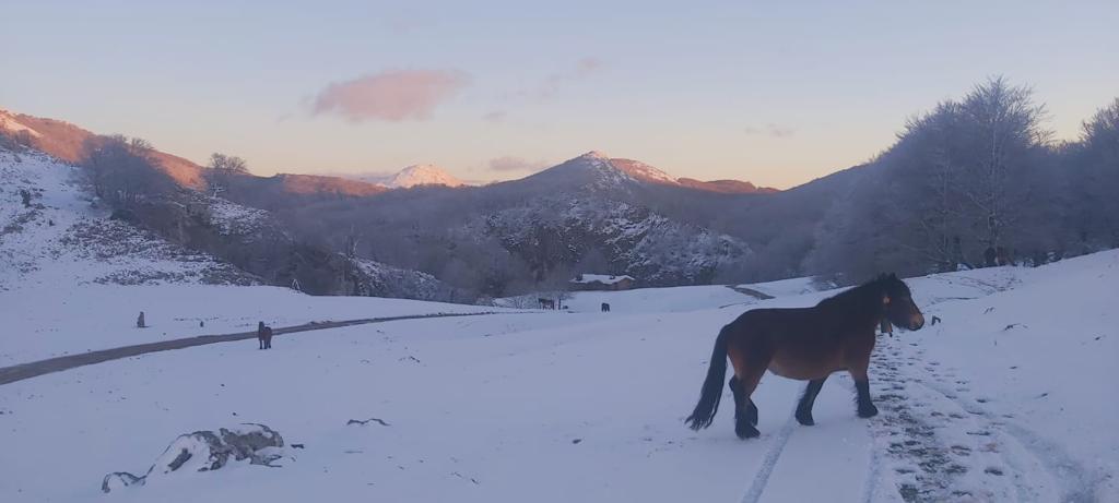 Fotos: Jornada gris y lluviosa
