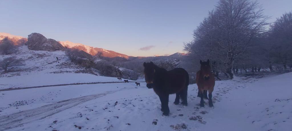 Fotos: Jornada gris y lluviosa