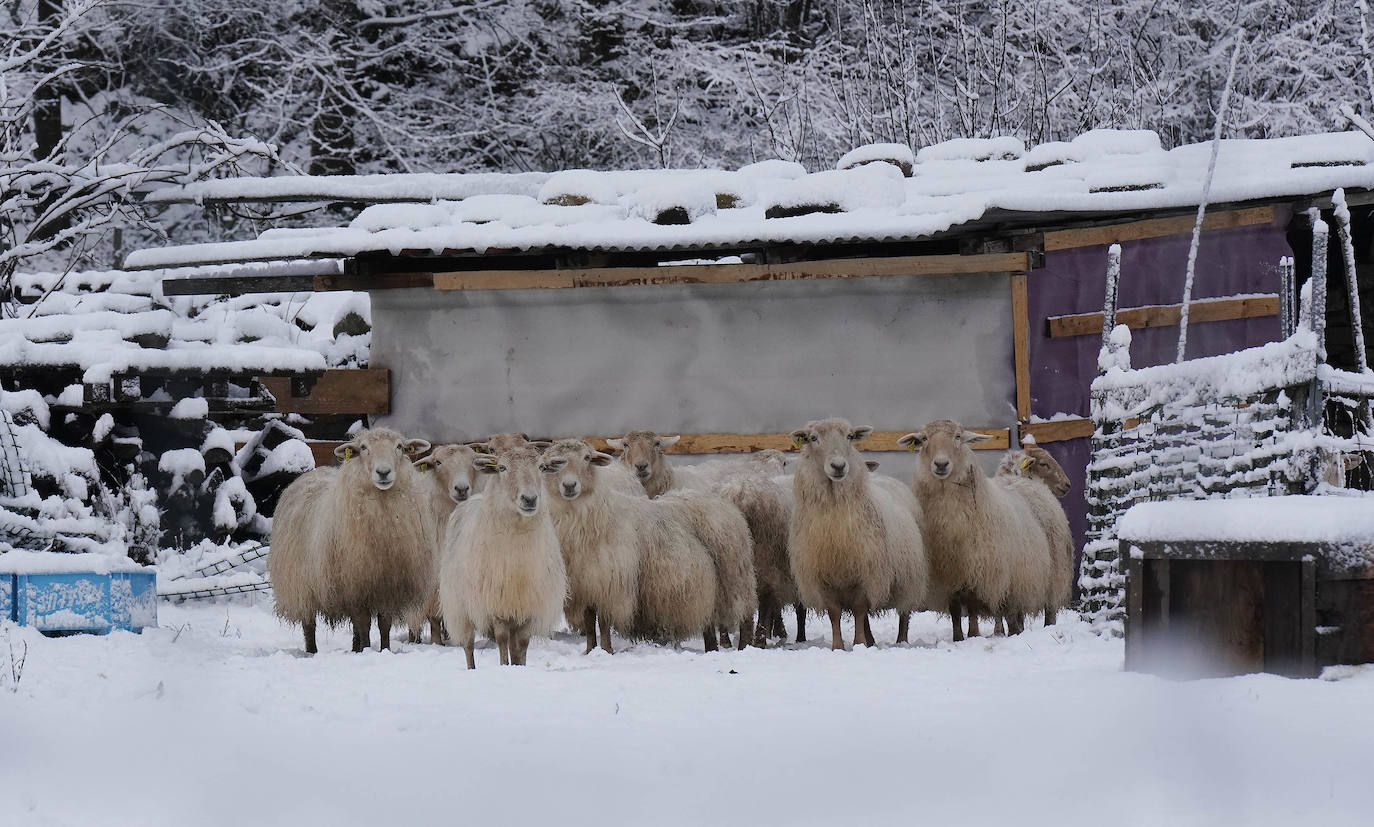 Fotos: Berastegi, bajo un manto de nieve