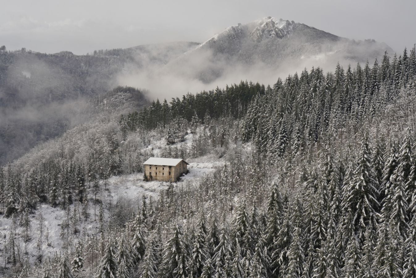 Fotos: Albiztur, zurituta