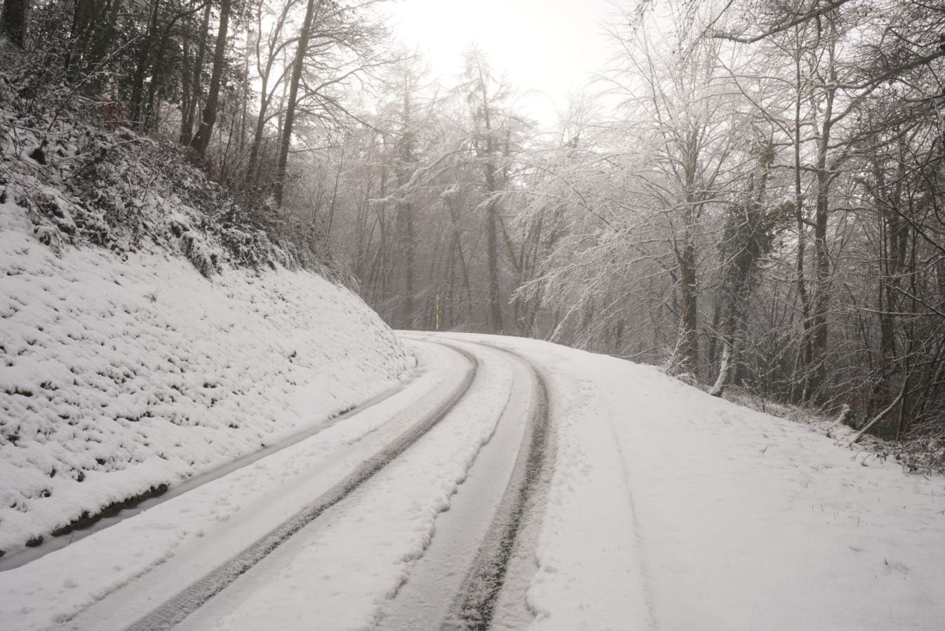 Fotos: Albiztur, zurituta