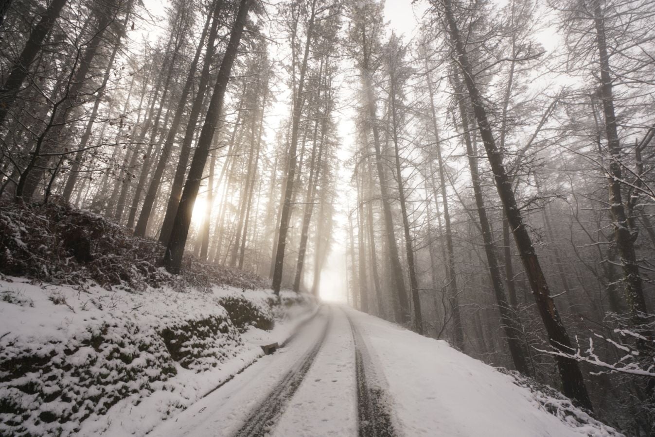 Fotos: Albiztur, zurituta