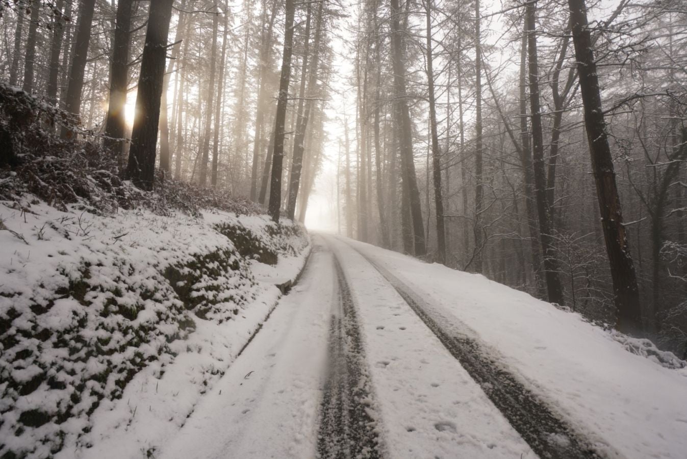 Fotos: Albiztur, zurituta