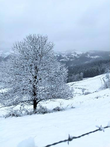 Un monte de Gabiria nevado.