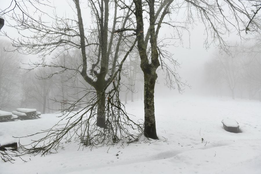 Fotos: El alto de Arrate, cubierto de nieve