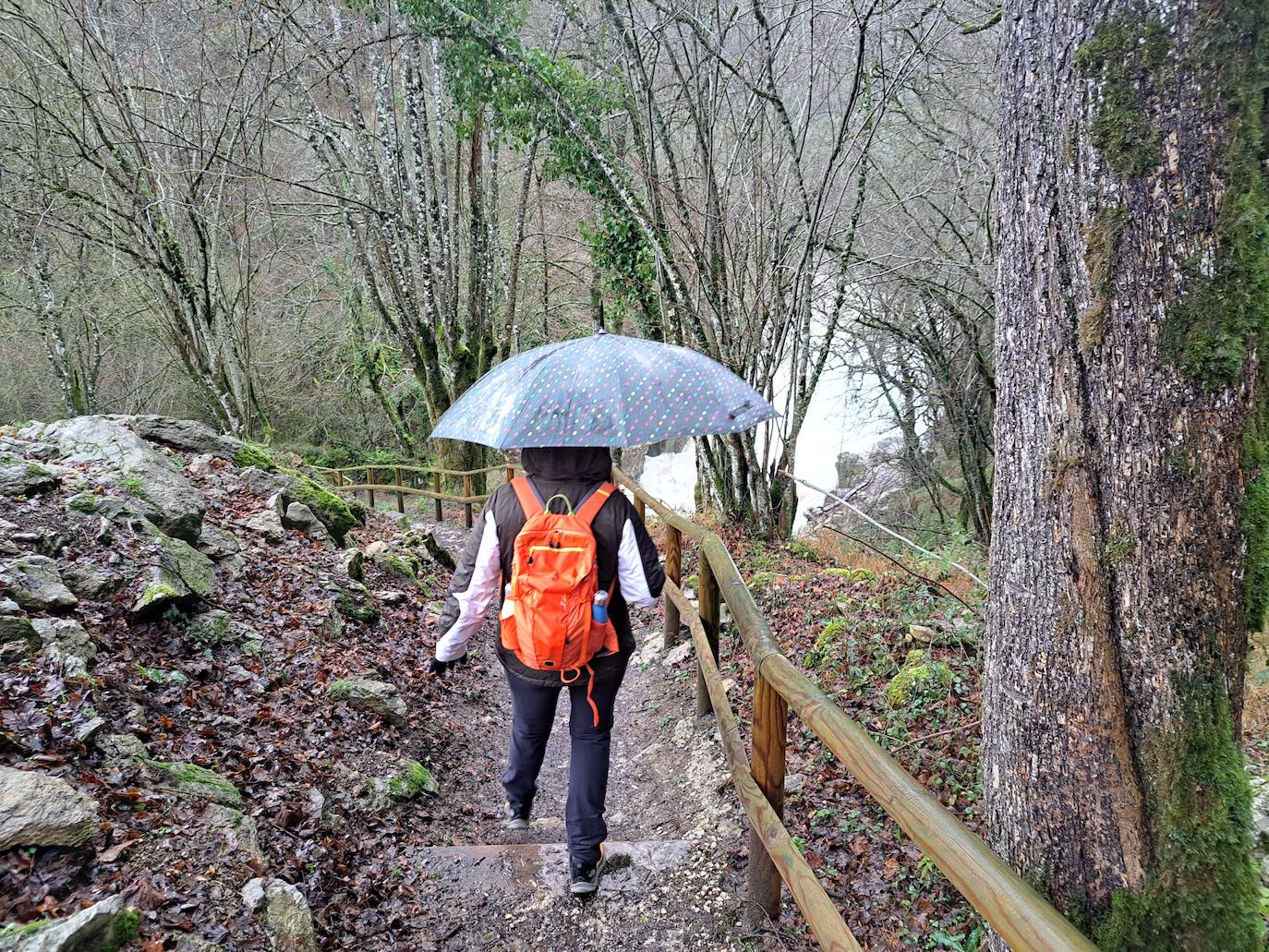 Fotos: Ixkier, el agua marca el ritmo de Larraun